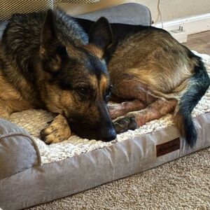 Meet your Posher, Kathi